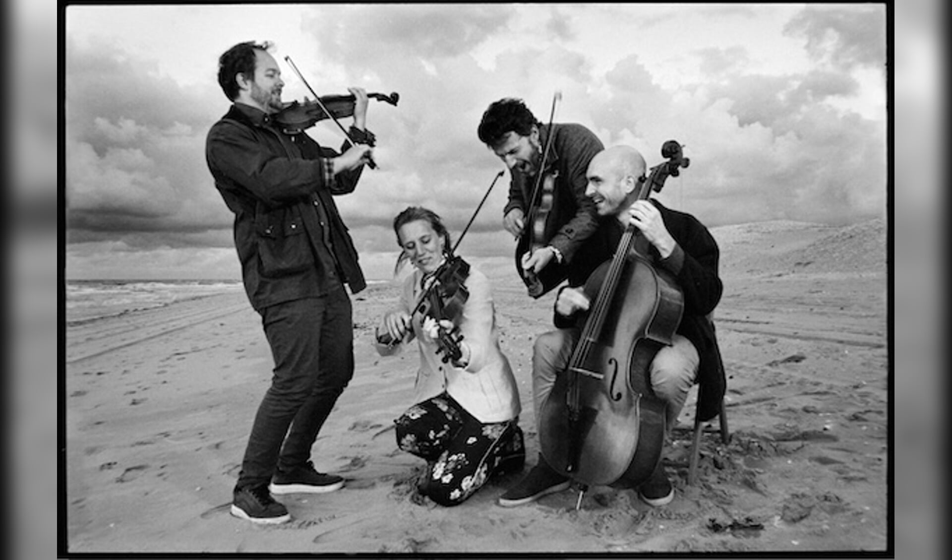 North Sea String Quartet 