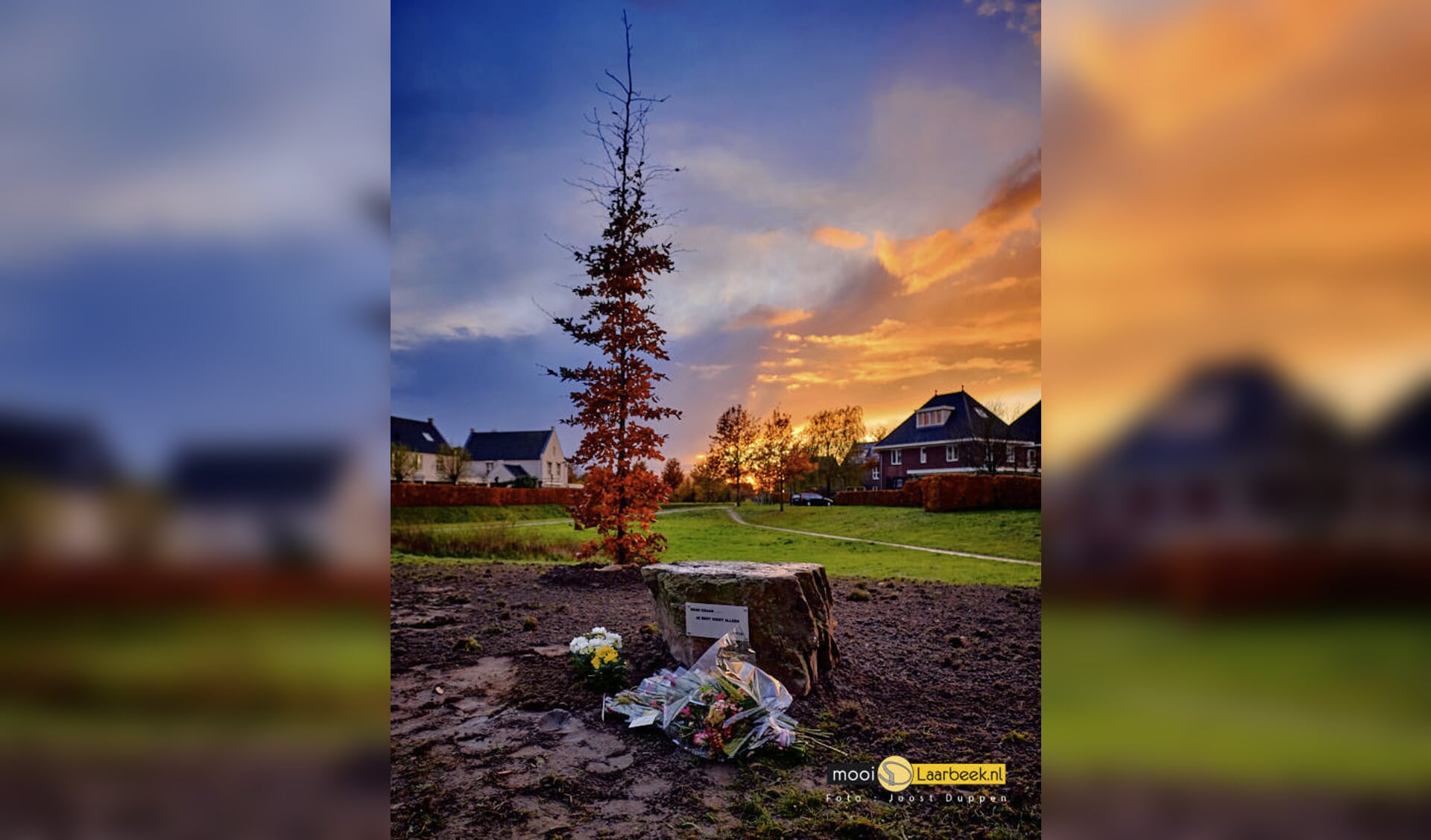 De gedenkboom en gedenksteen bij het Clovishof in Aarle-Rixtel