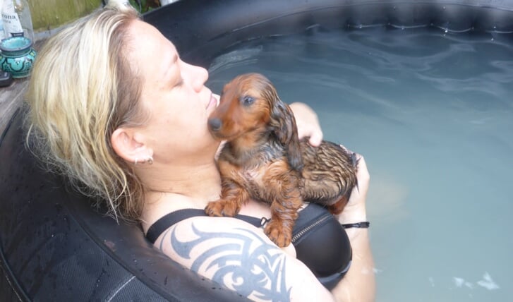 Mijn dochter Sarah liet haar teckeltje ‘Doris’ voor het eerst zwemmen.  Ingezonden door: Annegeert Steenbakkers