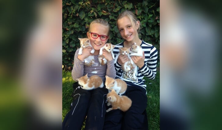 Janne en Pleun v.d. Berg met hun 7 lieve kittens.  Ingezonden door: Debby v.d. Berg