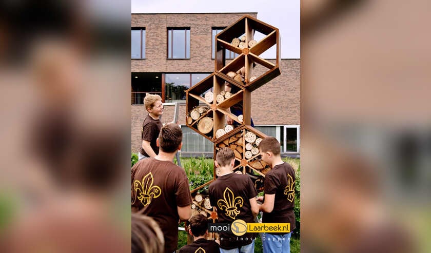 Afbeelding