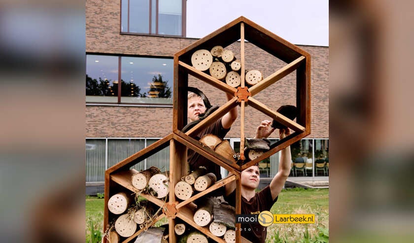 Afbeelding