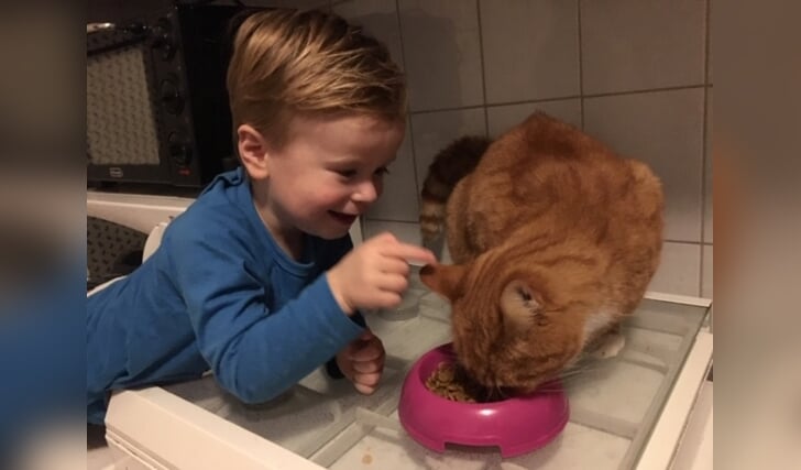 Meestal zijn onze katten heel bang van de kinderen, maar als Snowy aan het eten is, heeft hij niet snel genoeg in de gaten dat hij niet door mama maar door Pepijn geaaid wordt! (Familie van Dijk-Daelemans)