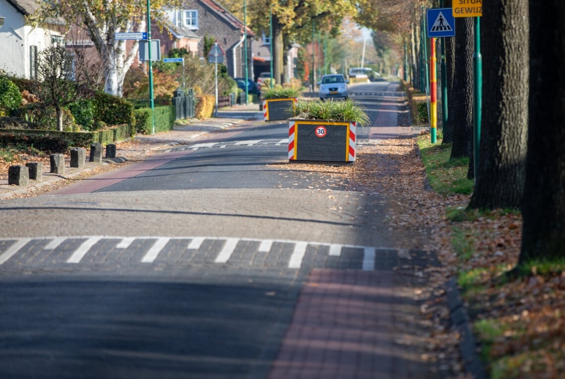 <p>Plantenbakken op de Ribbiusstraat in Lieshout</p>