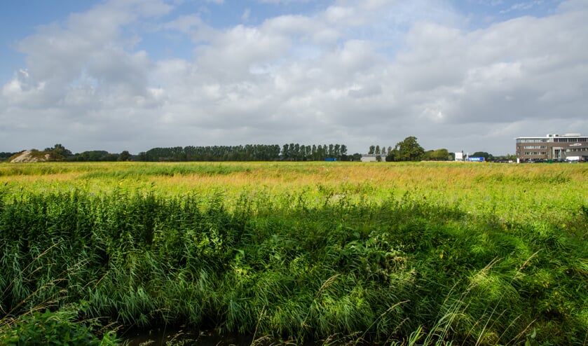 Medio 2017 was het bedrijventerrein nog leeg. Op korte termijn komen er zes tot zeven bedrijven bij | Fotonummer: 117465