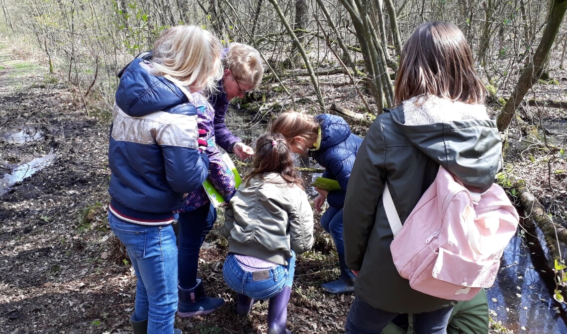 De jeugd van IVN Laarbeek bezig in de natuur