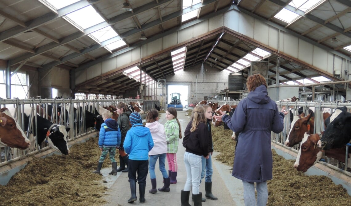 De jeugd van IVN Laarbeek op bezoek bij de boerderij