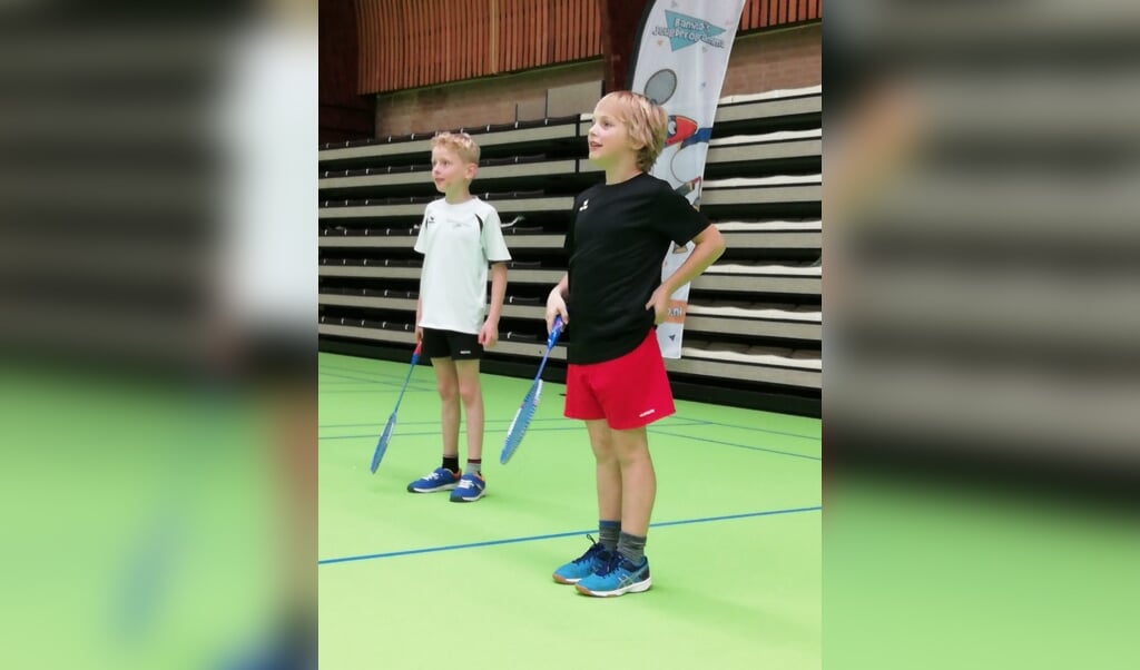 Badminton is óók leuk voor de allerkleinsten. Wie helpt Badminton Club Lieshout met de opzet van een speelmoment voor de jongste jeugd?