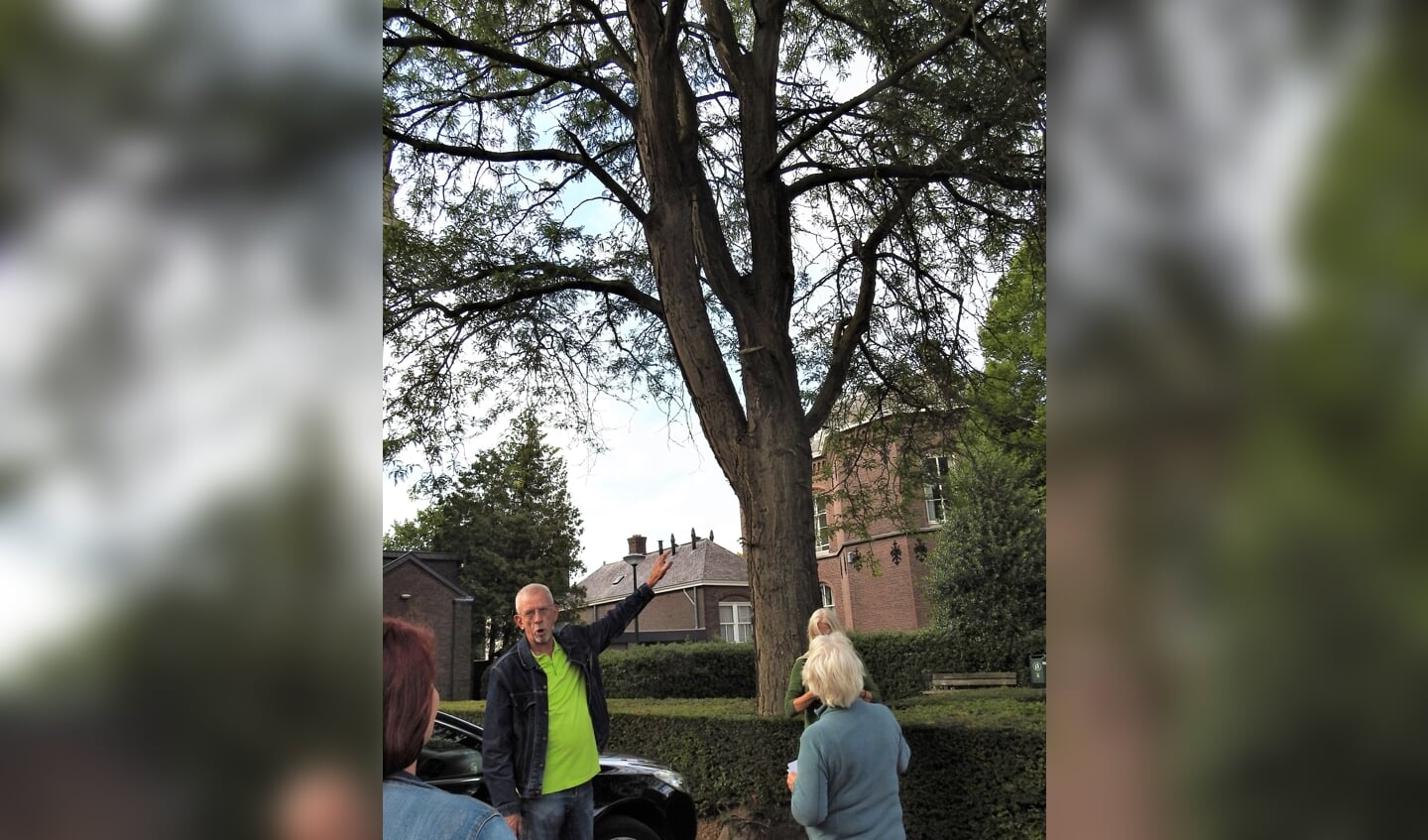 De Valse Christusdoorn bij de kerk.