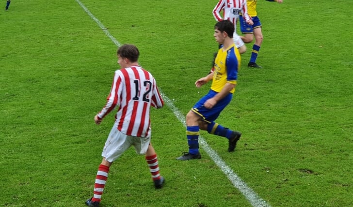 Afbeelding