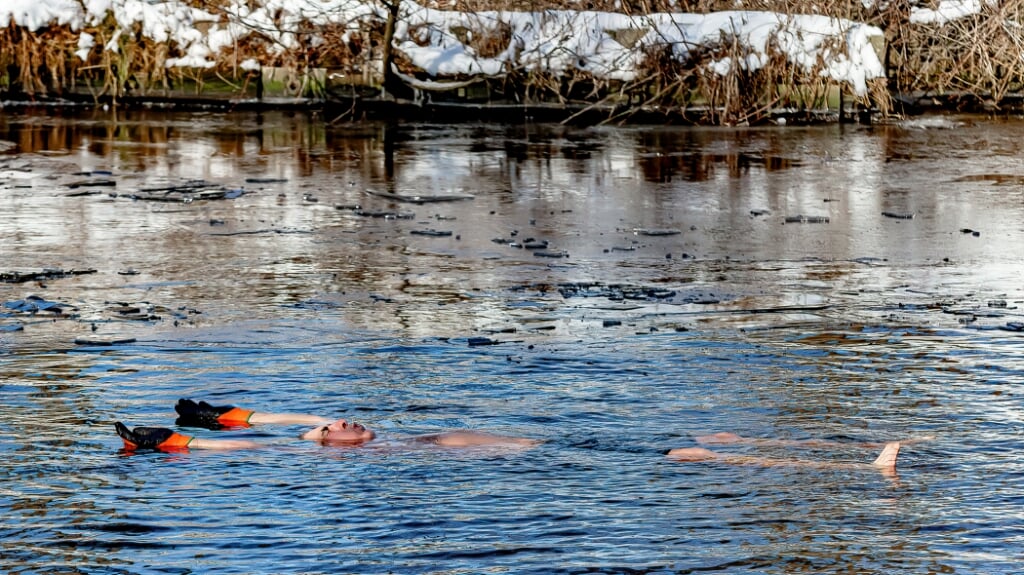 De Laarbeekse 'icemen' Ramzan Galajev dobbert in het ijskoude water
