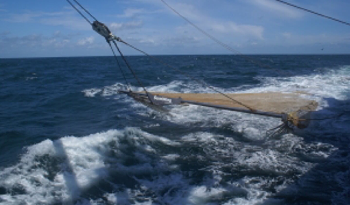De TX 36 vist tot grote tevredenheid met de sumwing. Ook vanuit de zuid en Belgiu00eb wordt belangstelling getoond.