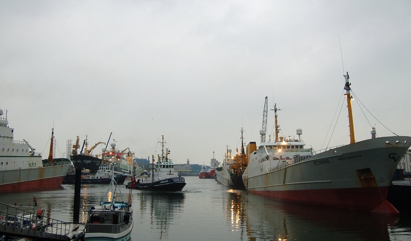 Trawlerdrukte in havens IJmuiden