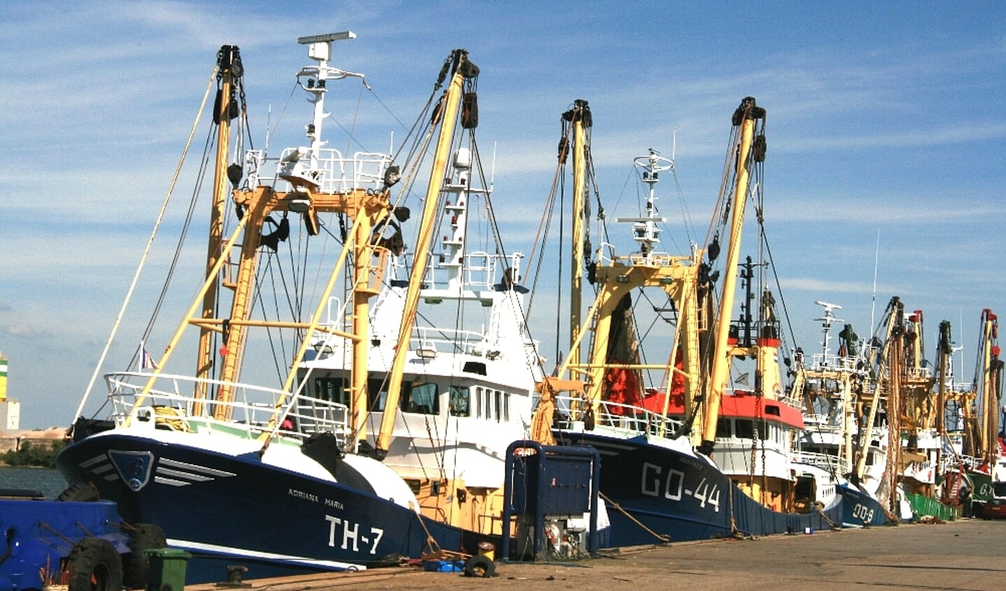  Positieve berichten voor de kottervloot aan de vooravond van de Dag van Nederlandse Zeevisserij in Stellendam.