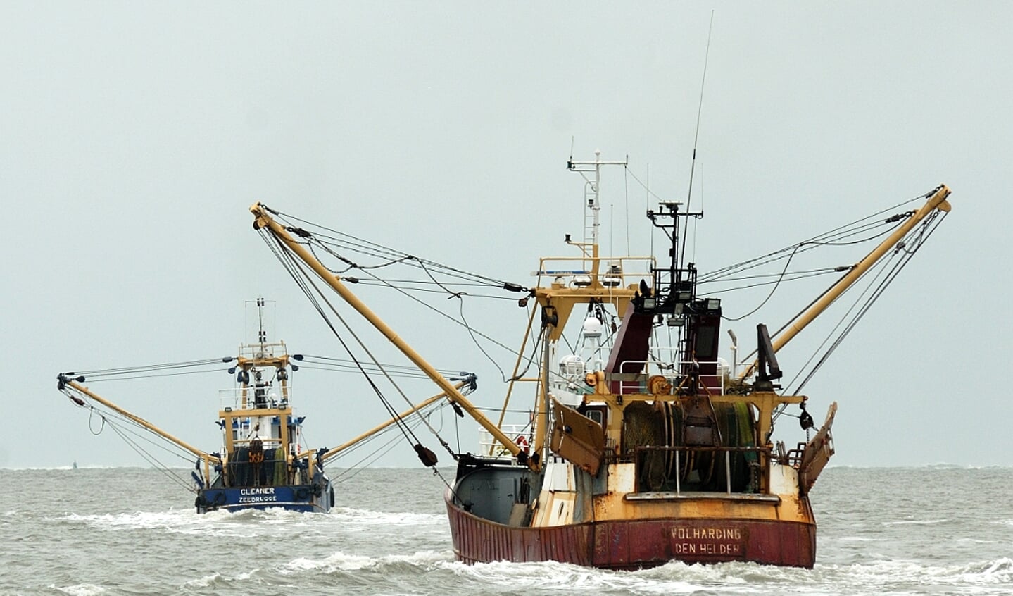 HD 36 en Z 468 op weg naar de visgronden - Foto: Rienk Nadema