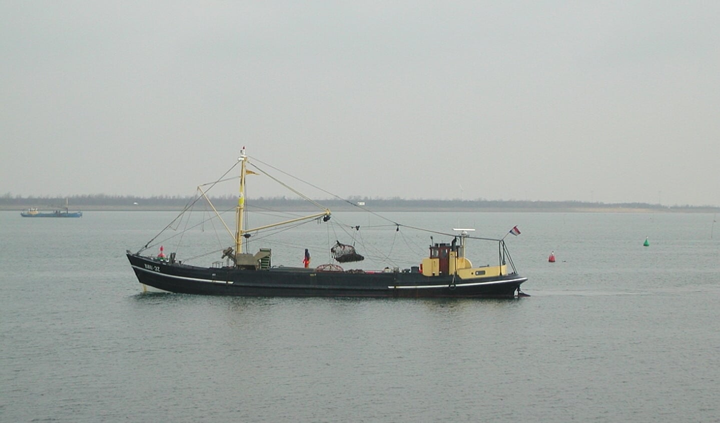 u2018De Kikkenu2019 visten sinds 2002 met de 30 meter lange BRU 32 uit 1923 op de verwaterpercelen bij Bruinisse. Daarvoor was het vaartuig eigendom van de (inmiddels overleden) markante mosselkweker Stoffel Jumelet.
