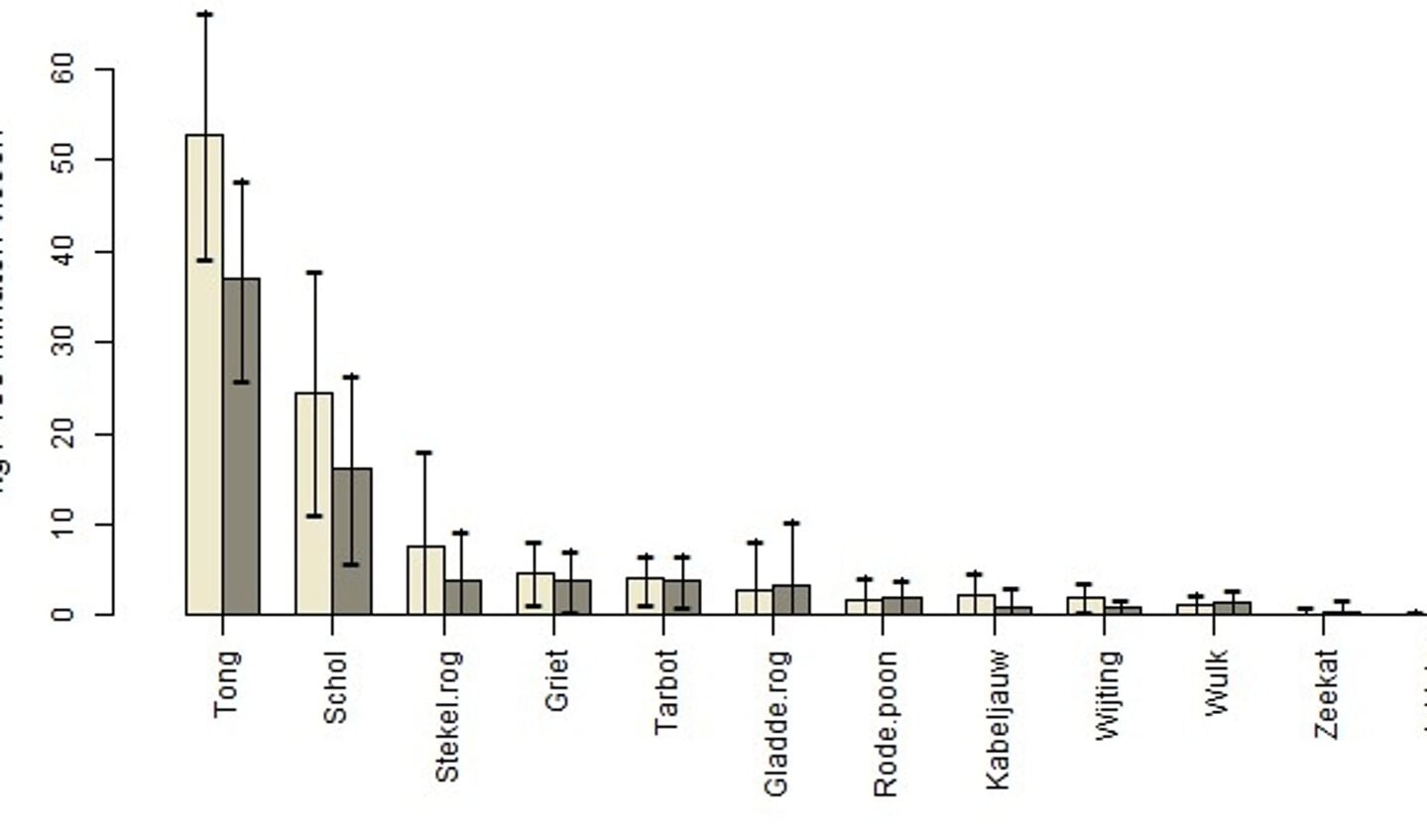 H Gemiddeld gewicht marktwaardige vangst per soort per 100 minuten vissen voor puls (wit) en waterspray (grijs).