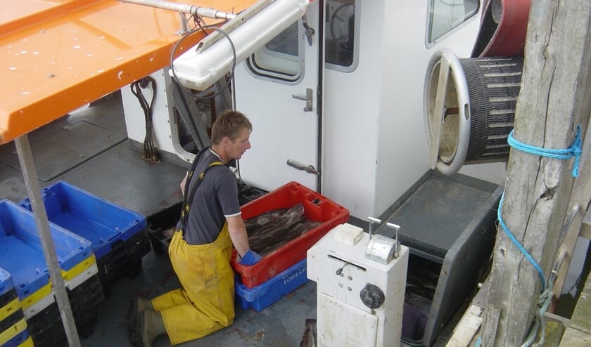 H Een Britse visserman uit Southwold haalt zijn vangst uit het ruim van de stuurboordromp van een catamaran.