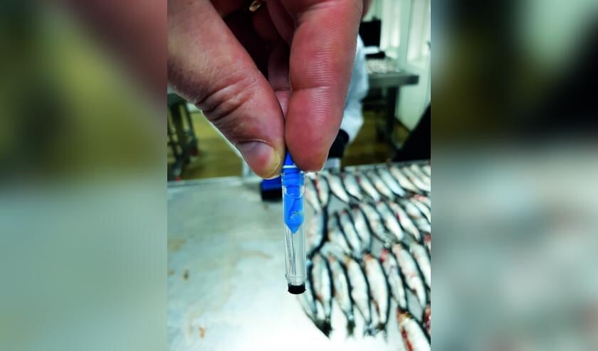 Genetisch bemonsteringsgereedschap, ont- wikkeld door Ierse onderzoekers samen met LVL technologies in Duitsland en de Europese pelagische visserijindustrie.