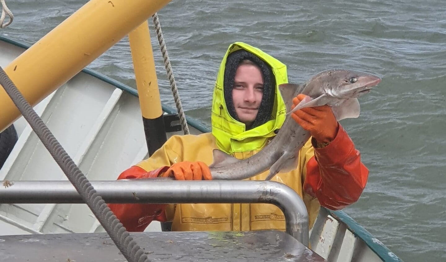 H Allard Loonstra toont een gladde gevlekte haai aan boord van de ZK17.