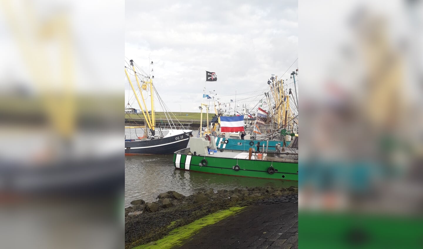 H De garnalenkotter OL12 sluit de rij; de blokkade van de haven van Lauwersoog is compleet.