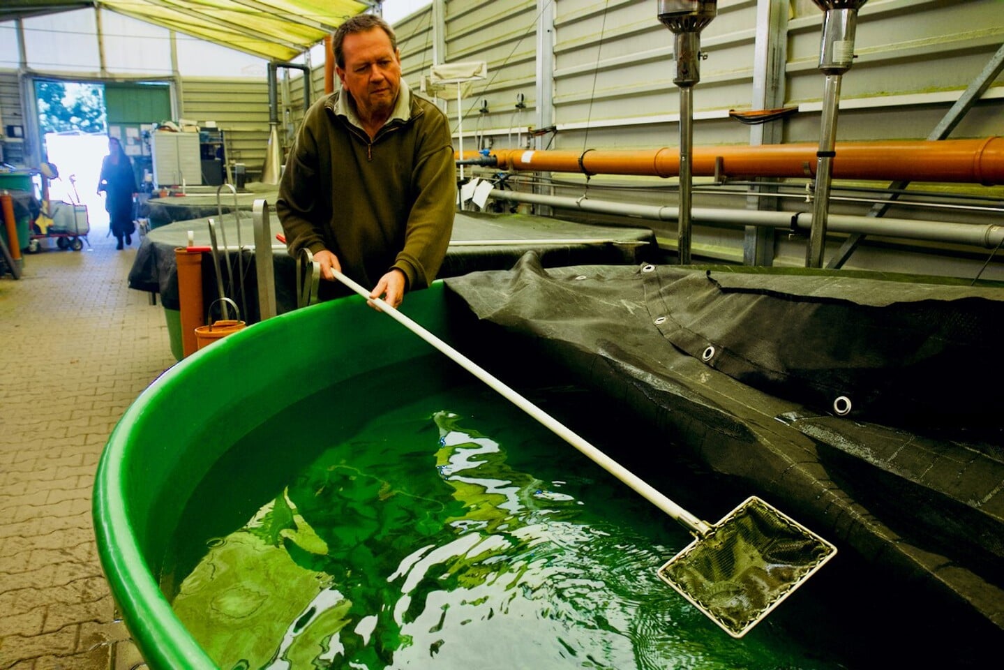 H Ditmar Firzlaff is particulier viskweker, die met zijn eigen aquacultuurbedrijf Aquafuture de jonge zalmen kweekt voor de Lachsverein van Hagemeyer. De zalmpjes zwemmen in bakken met een kolk die de stroming van rivieren imiteert.