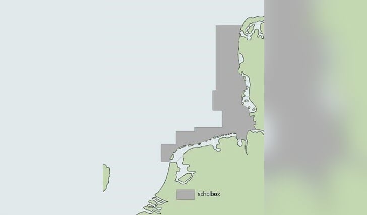 De scholbox is een stuk Noordzee van ongeveer 40.000 vierkante kilometer ten noorden van de Nederlandse en Duitse waddeneilanden en ten westen van de Deense waddeneilanden. In dit gebied groeide veel jonge platvis op. Toen het rond 1990 slecht ging met de schol is besloten om het gebied te sluiten voor platviskotters met een vermogen van meer dan 300 pk. Op die manier zou de schol daar in alle rust kunnen opgroeien. Maar het was geen succes: het ging niet beter met de schol, en er zwom steeds minder jonge schol in de scholbox. Bron: Ecomare/Vistikhetmaar