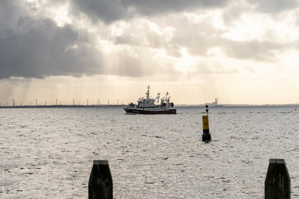 H Vertrek vorige week vanuit Urk naar IJmuiden om daar ingetuigd te worden voor de Kanaalvisserij.