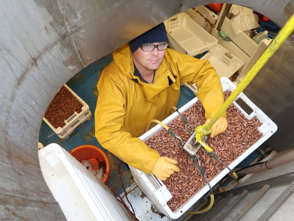 H Rien Rog in het visruim van de SCH 10 tijdens het lossen van garnalen.