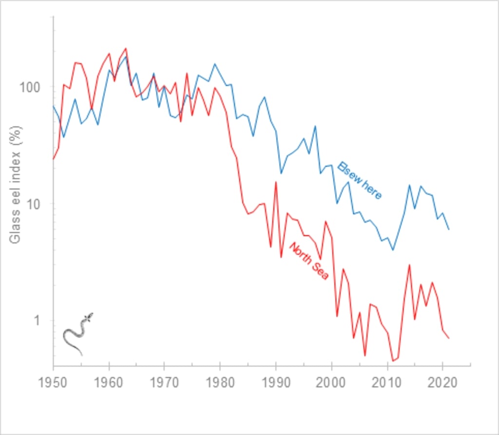 H Figuur 2 De trend in de intrek van de glasaal, in het Noordzeegebied (rood) en elders (Elsewhere, blauw), hier uitgezet op logaritmische schaal. Data: ICES 2021. 
