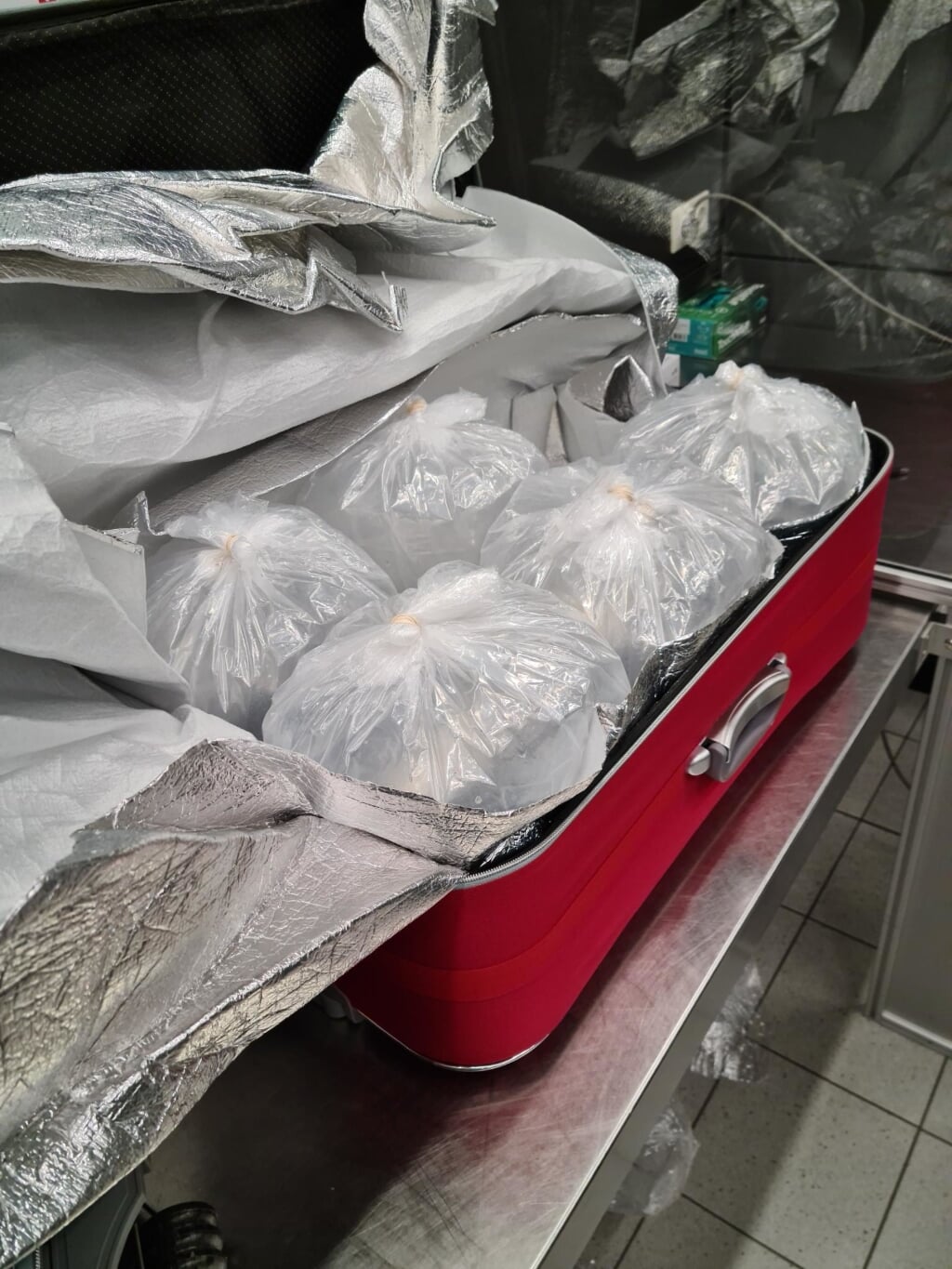 H In acht koffers werden zakjes met glasaal aangetroffen, in totaal 105 kilo. De handelswaarde in de Europese Unie is circa 285 euro per kilo, maar op de illegale Aziatische markt een veelvoud daarvan. (Foto: NVWA)