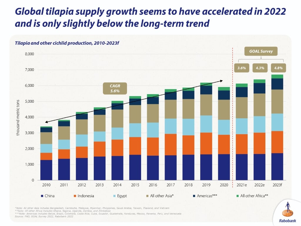 H Na jaren van snelle groei en een dipje in 2021 gaat de productie van tilapia naar verwachting weer groeien, maar minder snel dan voorheen.