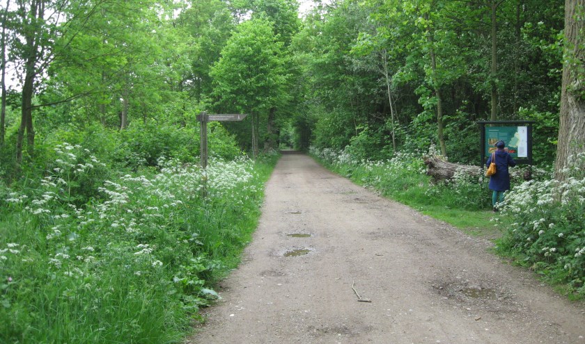 De ingang van het Keukenhofbos hoort ook bij het groen in de gemeente. | Foto: Arie in 't Veld