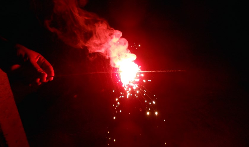 In Teylingen zijn acht locaties aangewezen als vuurwerkvrije zone. | Foto: pr.
