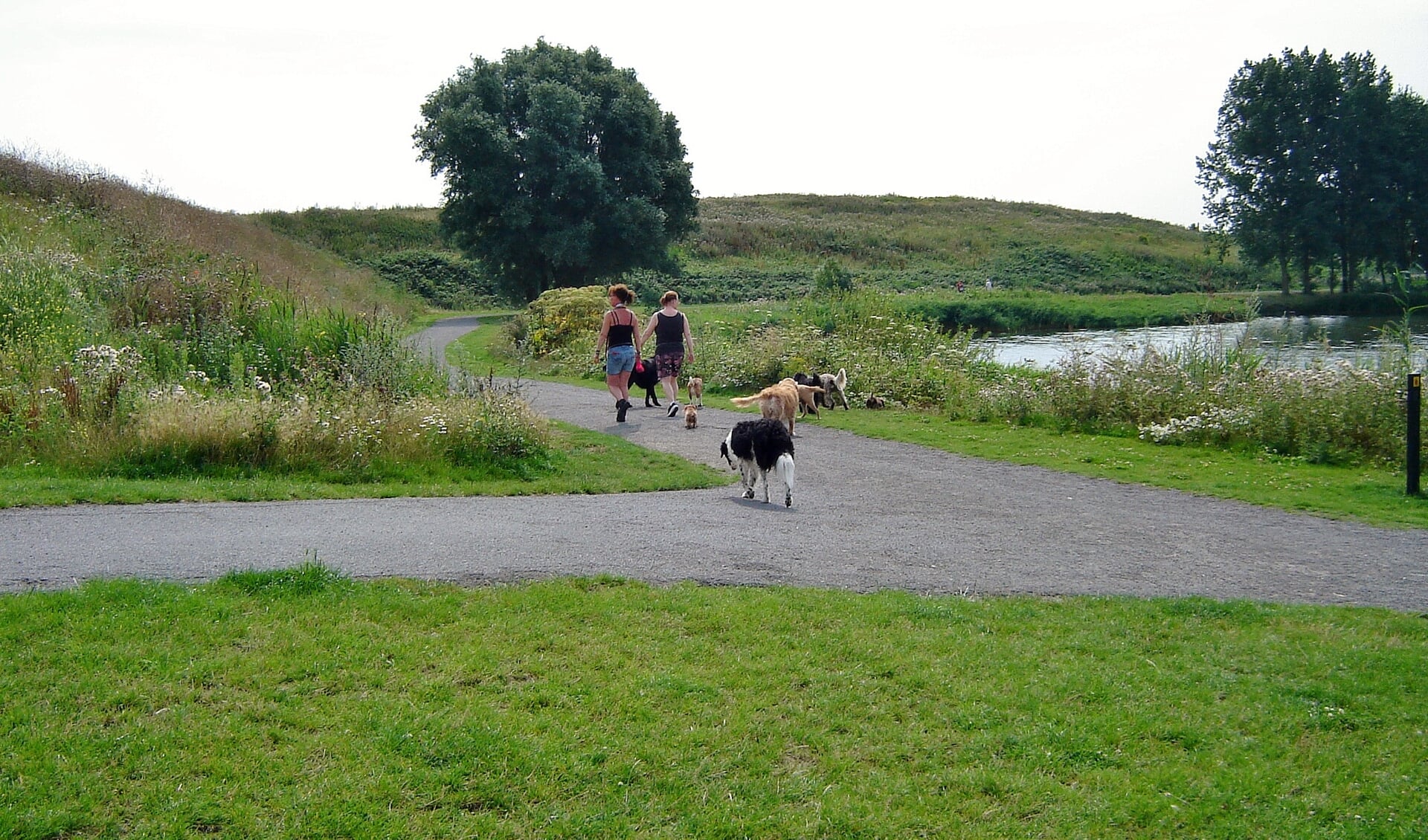 De gemeente Oegstgeest gaat in het grootste deel van het gebied rond de Klinkenbergerplas een permanente aanlijnplicht invoeren. De hondenvrienden verzetten zich hiertegen. | Foto Willemien Timmers