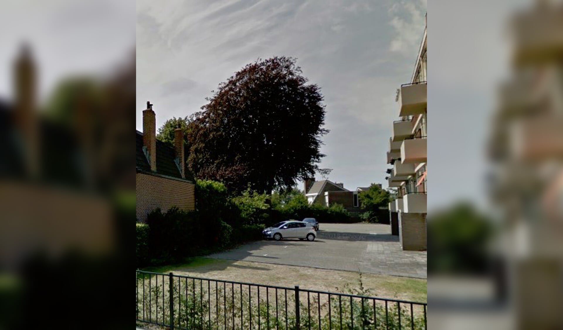De rode beuk achter de Margaretha-flats is een verborgen pareltje. | Foto: Google maps