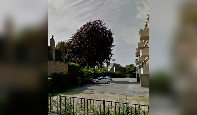 De rode beuk achter de Margaretha-flats is een verborgen pareltje. | Foto: Google maps
