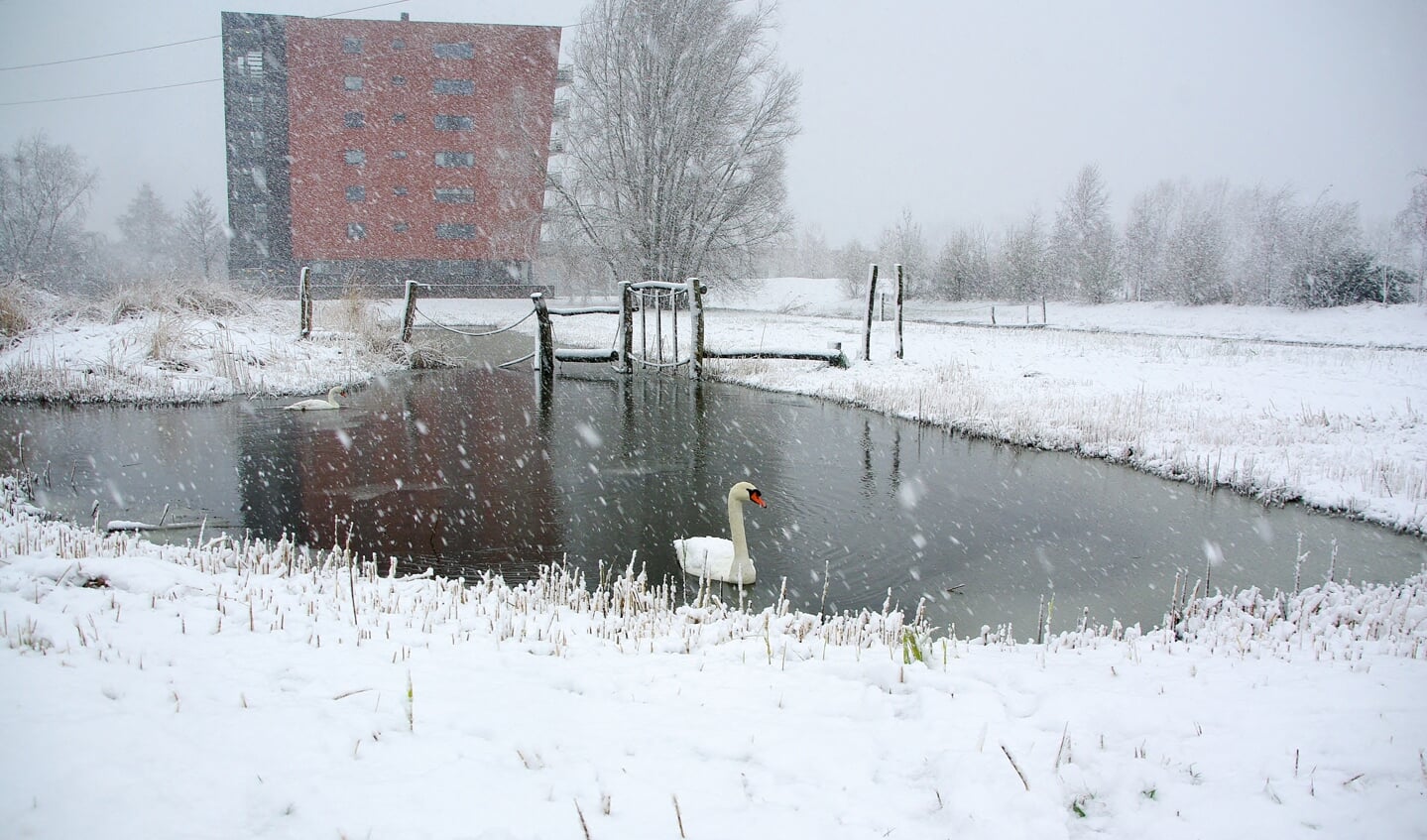 Winterse taferelen in het Vroege Vogelspark. | Foto Willemien Timmers