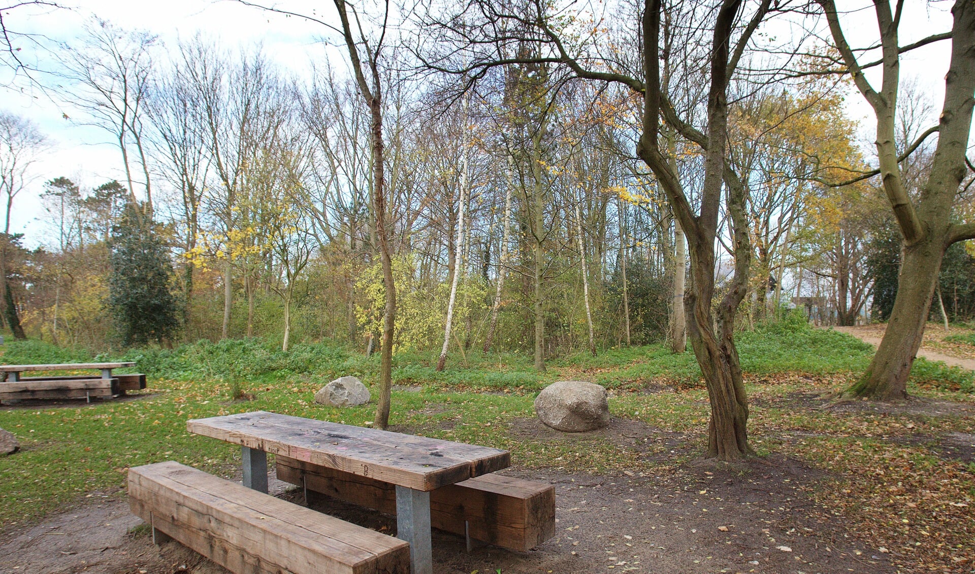 De picknicktafels in het De Ridderpark. | Foto: Adrie van Duijvenvoorde
