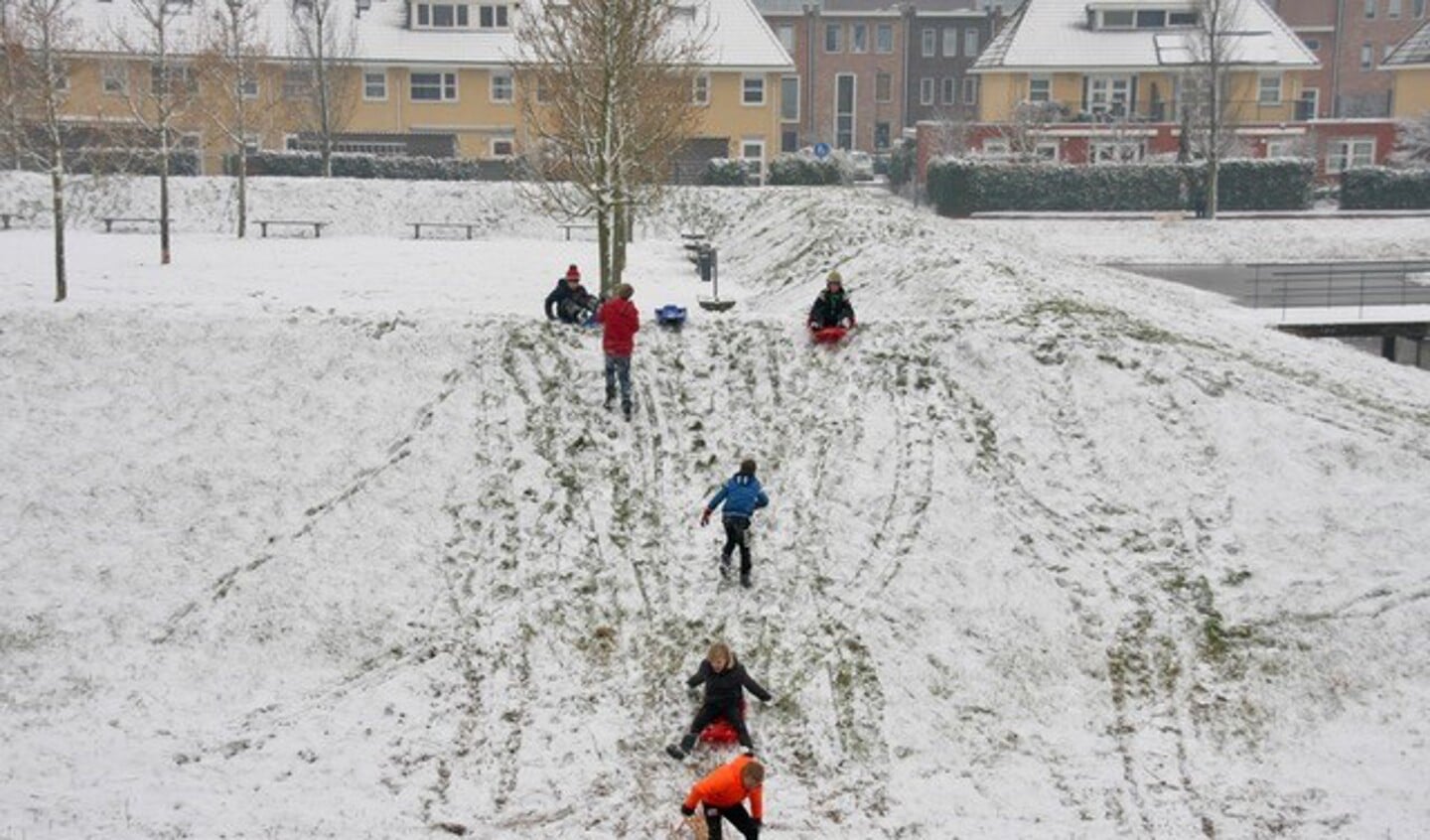 Sneeuwpret in het wijkpark in Poelgeest. | Foto Siem Geenjaar