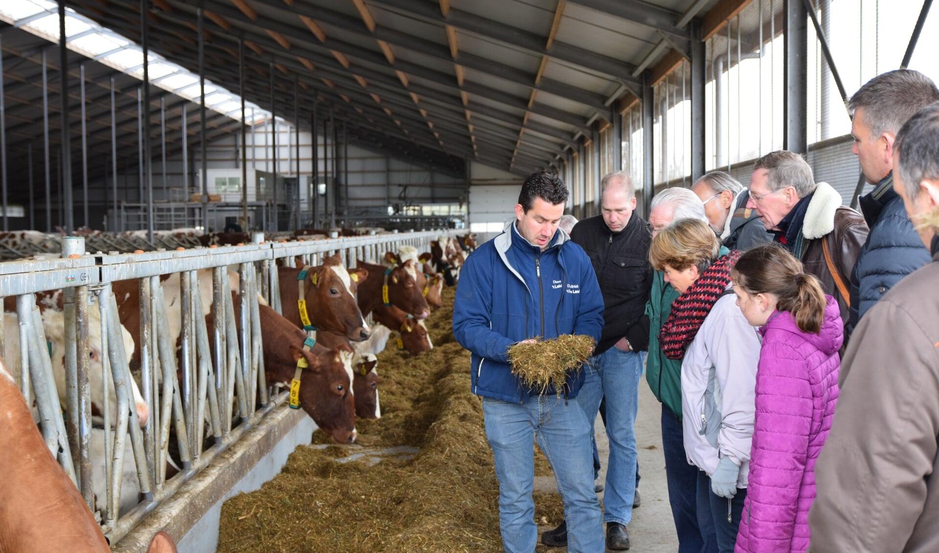 Veehouder Maries Roest  vertelt dat het voer van volwassen koeien bestaat uit een mix van onder andere gras, bloembollen en mais.  