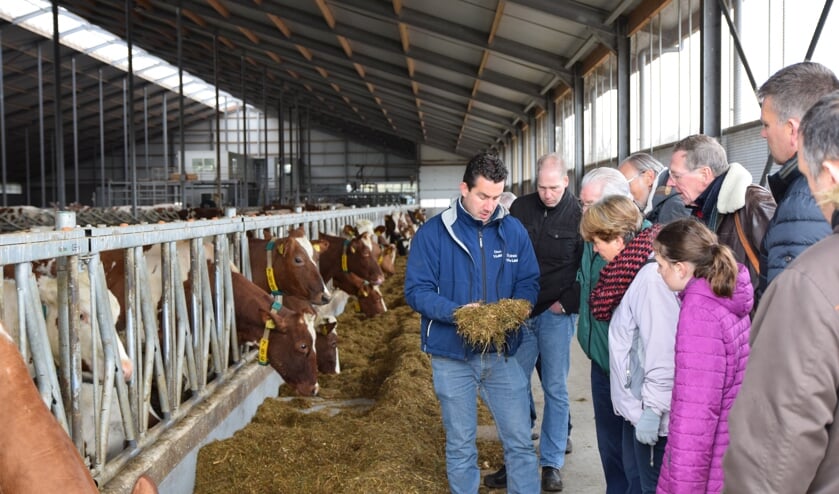 Veehouder Maries Roest vertelt dat het voer van volwassen koeien bestaat uit een mix van onder andere gras, bloembollen en mais.