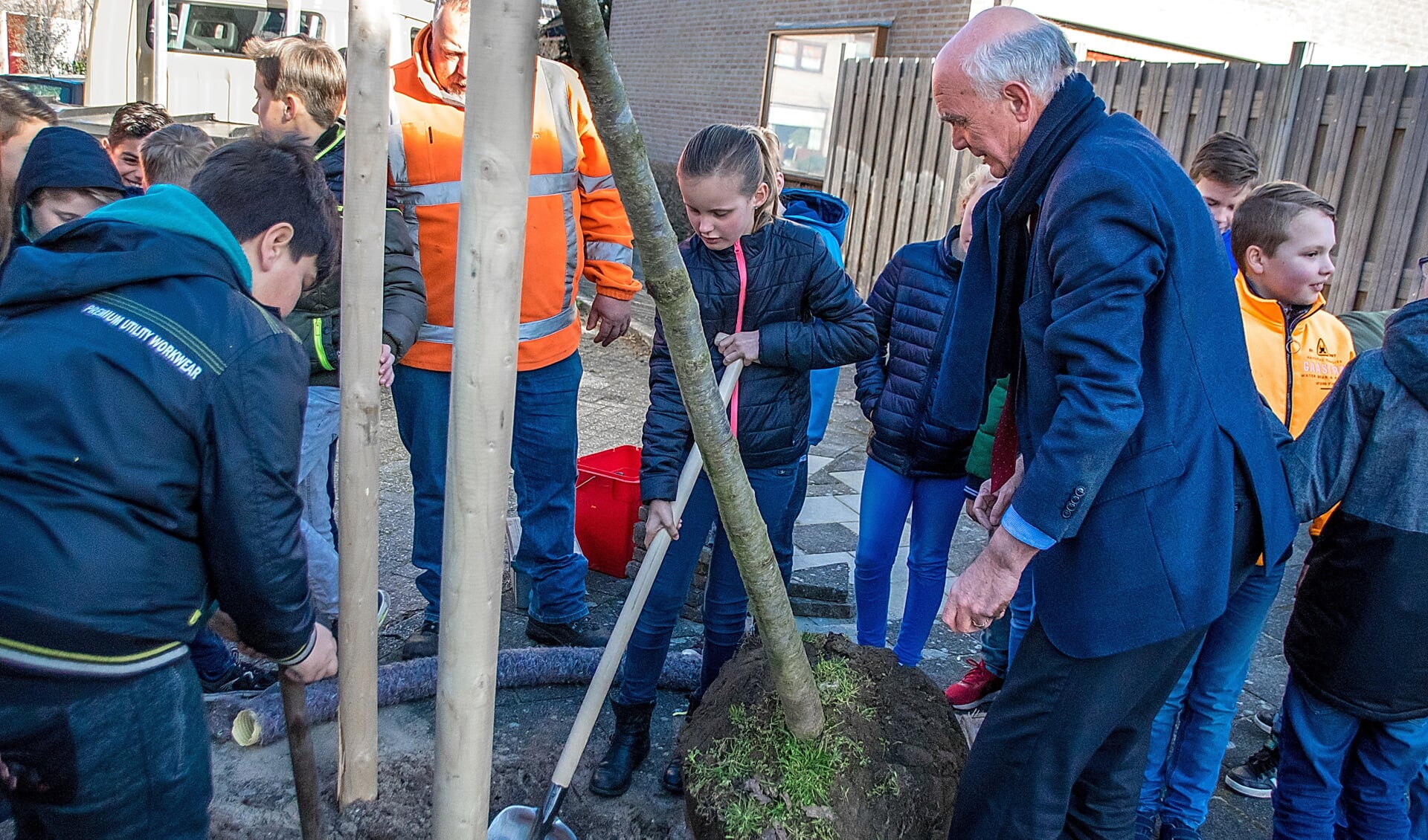 Wethouder Gardeniers helpt de leerlingen van De Schakel een handje met het planten van bomen. 