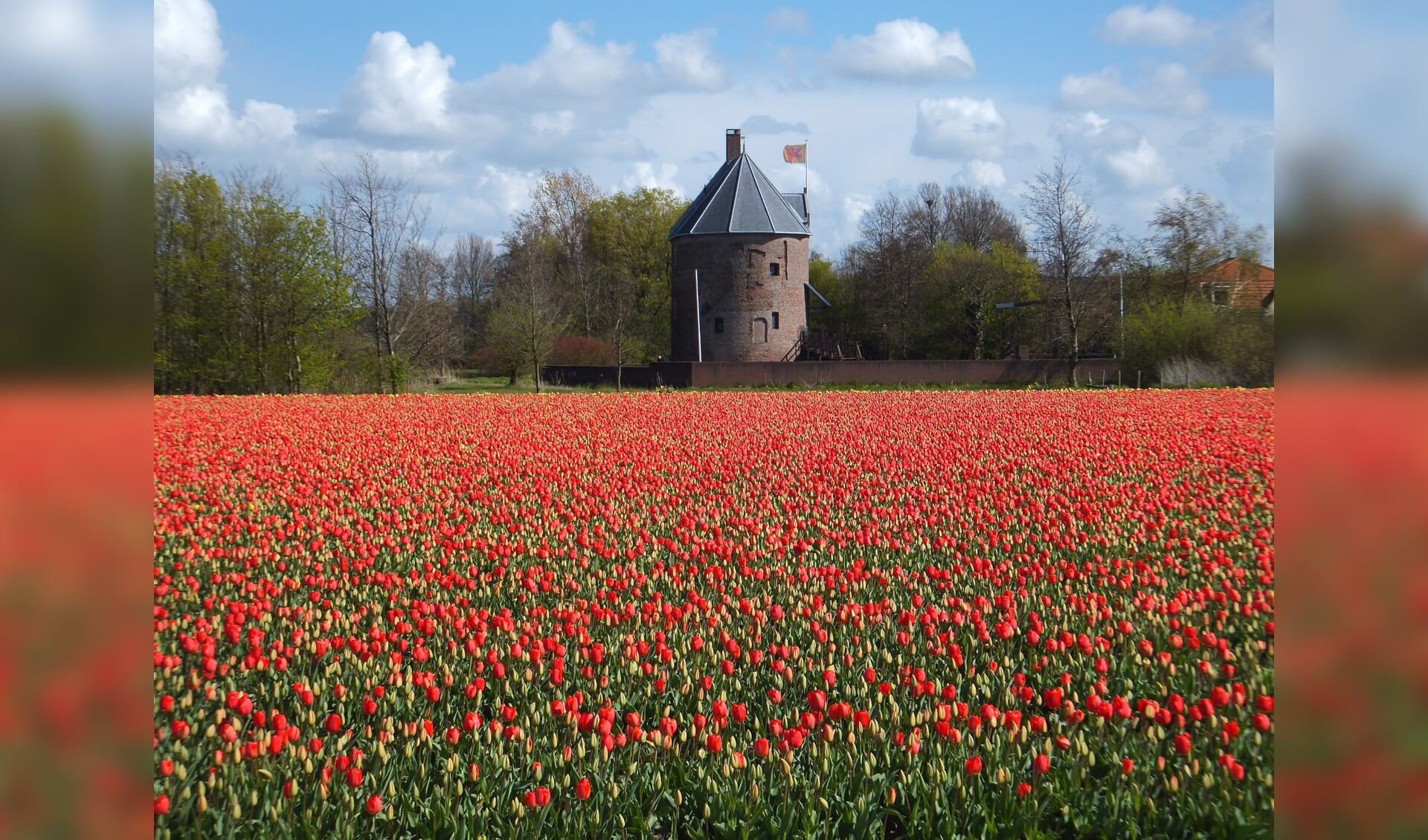 Toeristen genoeg in het voorjaar, maar hoe krijgen we de Bollenstreek jaarrond op de kaart?