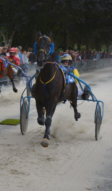 Andrea Swagerman met Black Pearl. | Foto: pr.