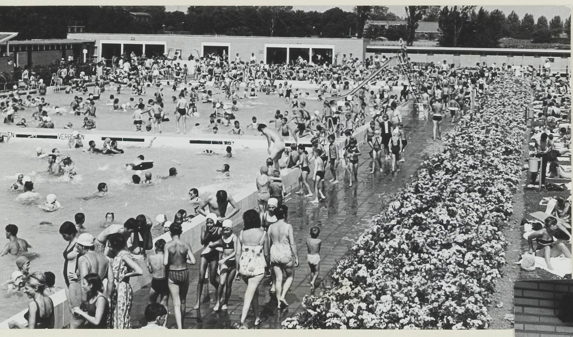 Op mooie, zomerse dagen was het razend druk in het zwembad. | Archieffoto:  Sportfondsen Leiderdorp