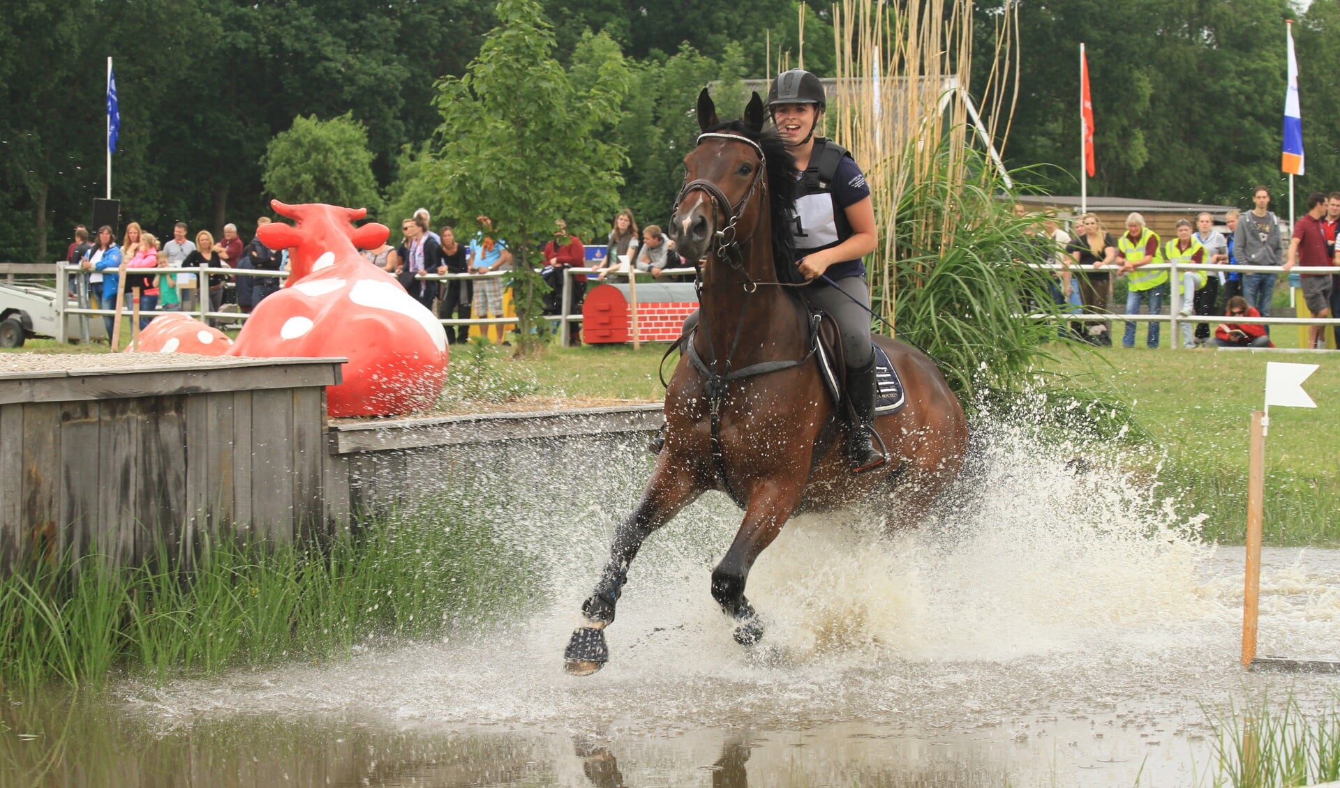 Voor de zevende keer organiseert rij- en ponyvereniging Voorruiters de crosswedstrijd aan de Elsgeesterweg. | Foto: pr.