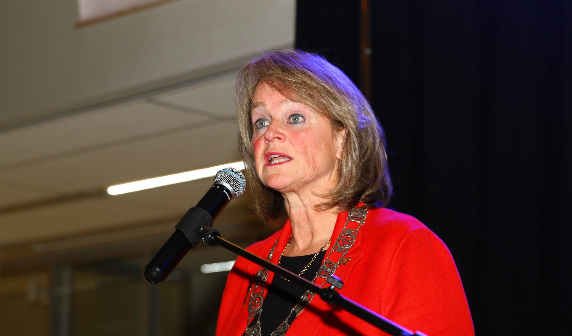 Burgemeester Lies Spruit roemde in haar toespraak de samenwerking die college en raad met de burgers hebben gezocht.