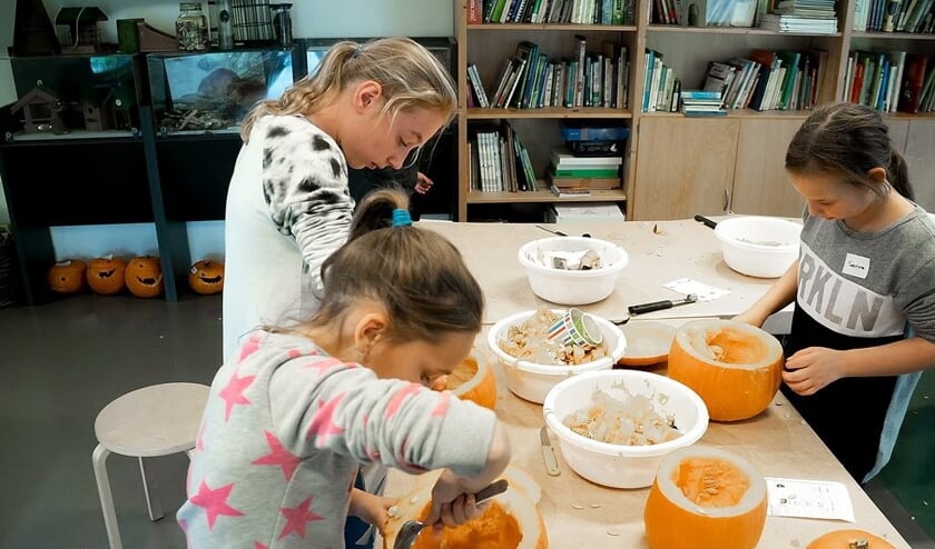 Een heel karwei: de pompoen moet eerst helemaal uitgehold worden voor er een lantaarn van gemaakt kan worden.