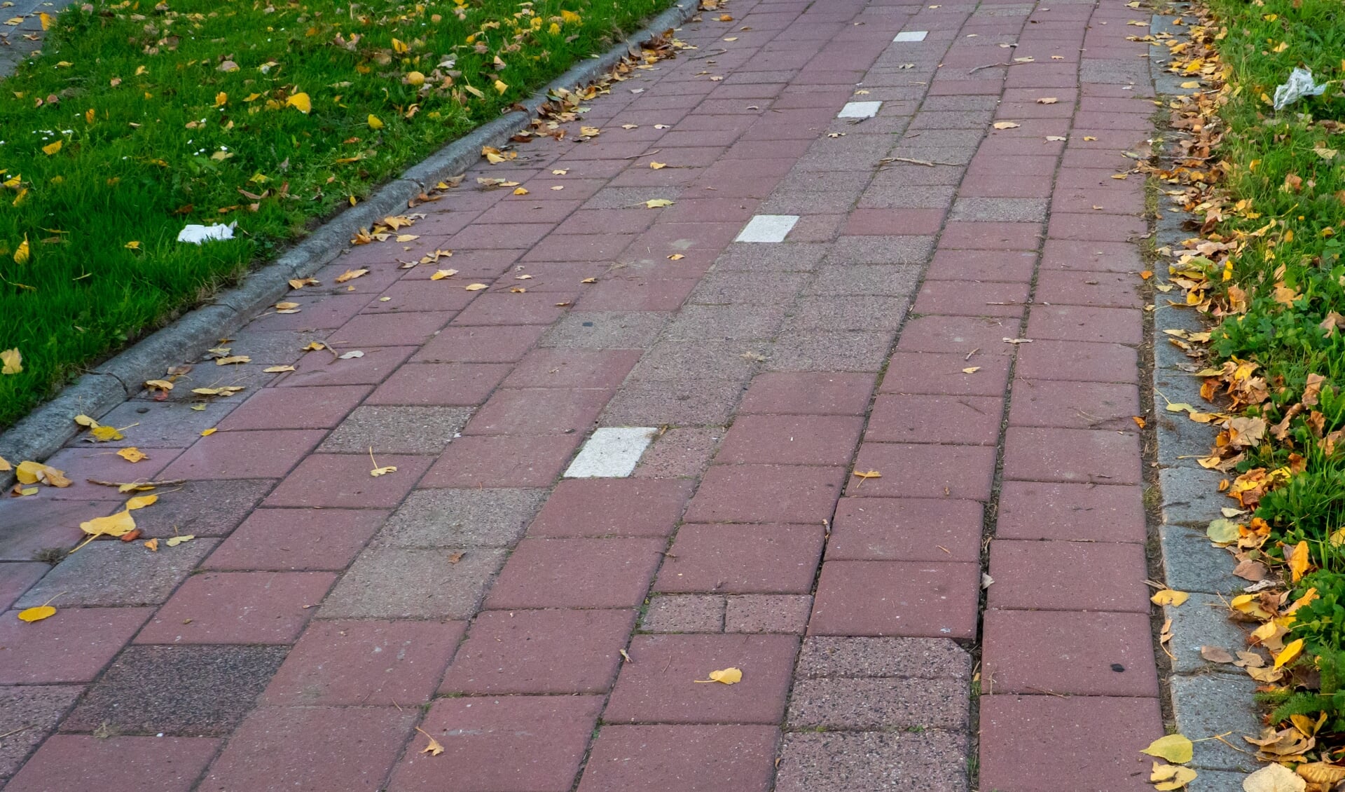 Als gevolg van de aanhoudende droogte kamt het fietspad langs de Engelendaal met losliggende tegels. 